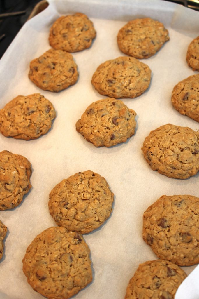 oatmeal-chocolate-chip-cookies-img_1469