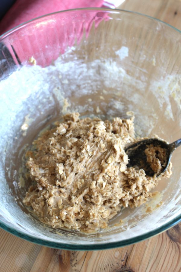 oatmeal-chocolate-chip-cookies-img_1453