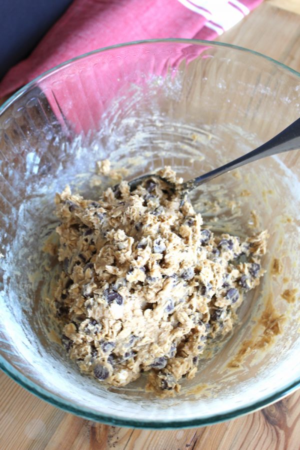 oatmeal-chocolate-chip-cookies-img_1460